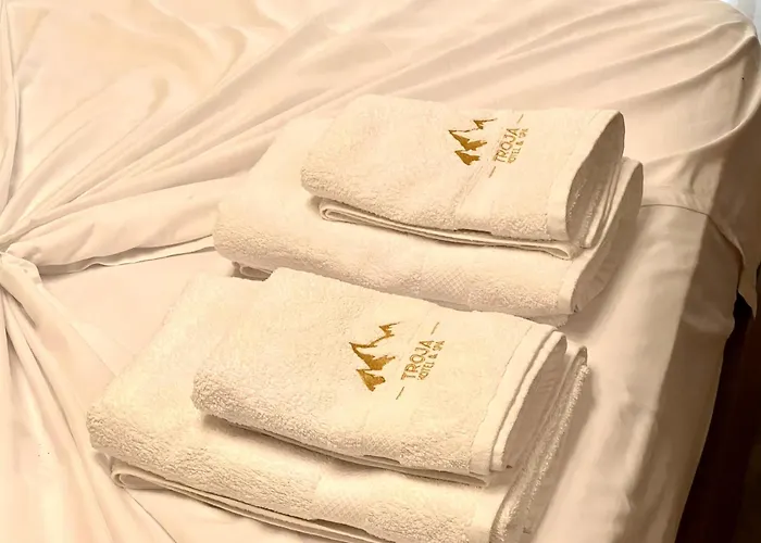 호텔 Troja - & Restaurant 4*